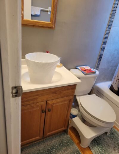 Bathroom vanity sink and toilet plumbing in Seat Pleasant, MD
